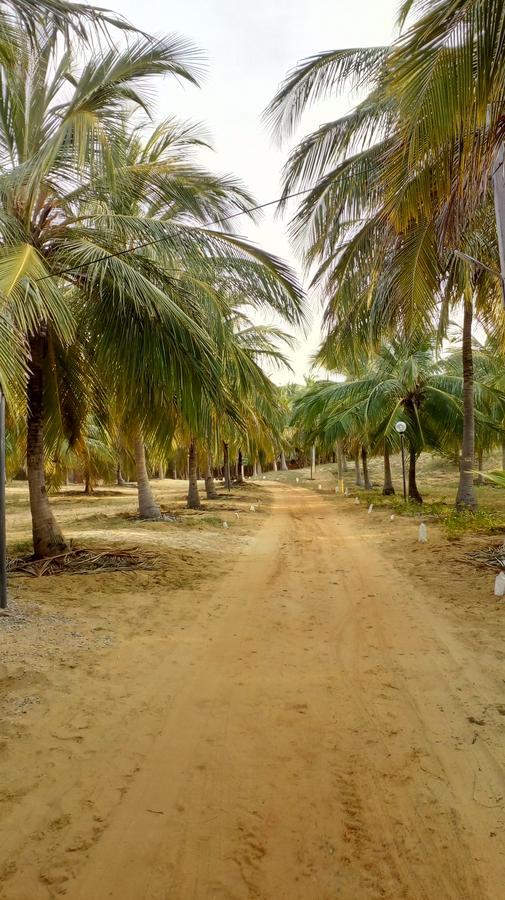 Majestic Beach Retreat Kalpitiya Exterior foto